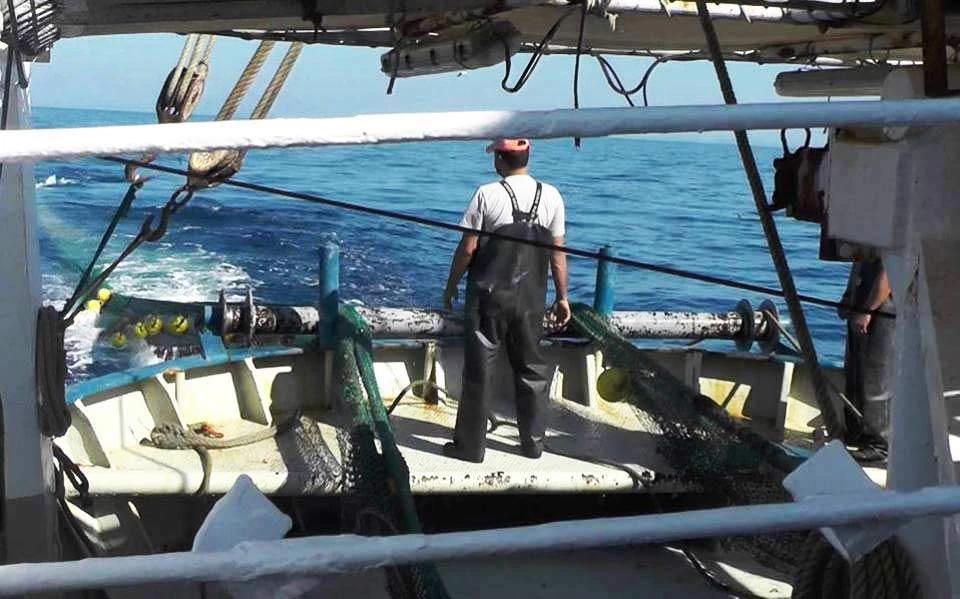 Αιγαίο: Μετά τον πόλεμο της τσιπούρας…πόλεμος σαρδέλας;